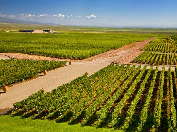 Exploring Mendoza the Heart of Argentina’s Wine Country